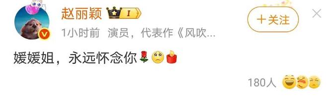 辛柏青悲痛发文赵丽颖等多位明星悼念冰球突破游戏演员朱媛媛患癌去世丈夫(图3)