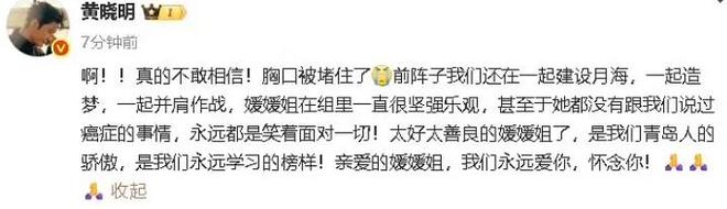 辛柏青悲痛发文赵丽颖等多位明星悼念冰球突破游戏演员朱媛媛患癌去世丈夫(图13)