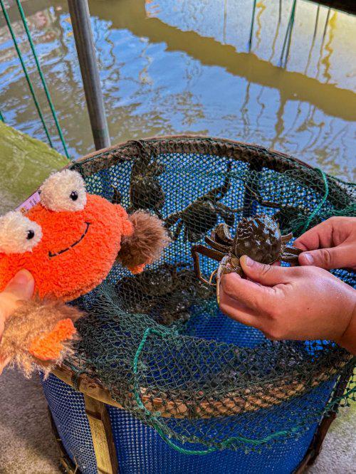 好？我找到了藏在湖边的宝藏蟹庄农家乐冰球突破豪华版阳澄湖边吃大闸蟹哪家(图3)